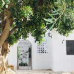 42708933_2238864306343438_1149812772918263808_n